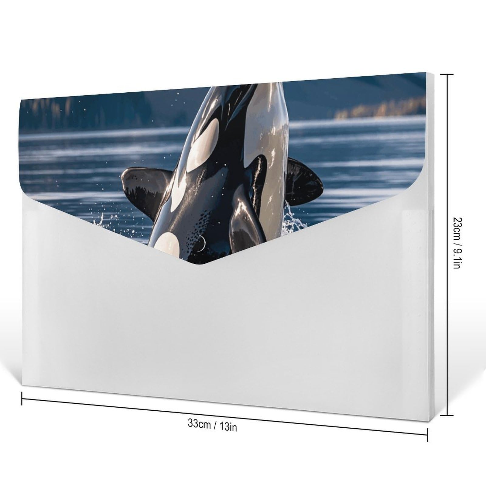 Amazon.com : Orca Killer Whale Folders with 6 Pack Pockets